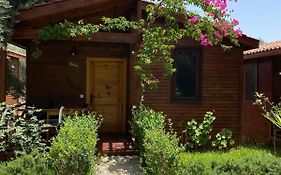 Suzi'nin Bahçesi Bungalov Evler